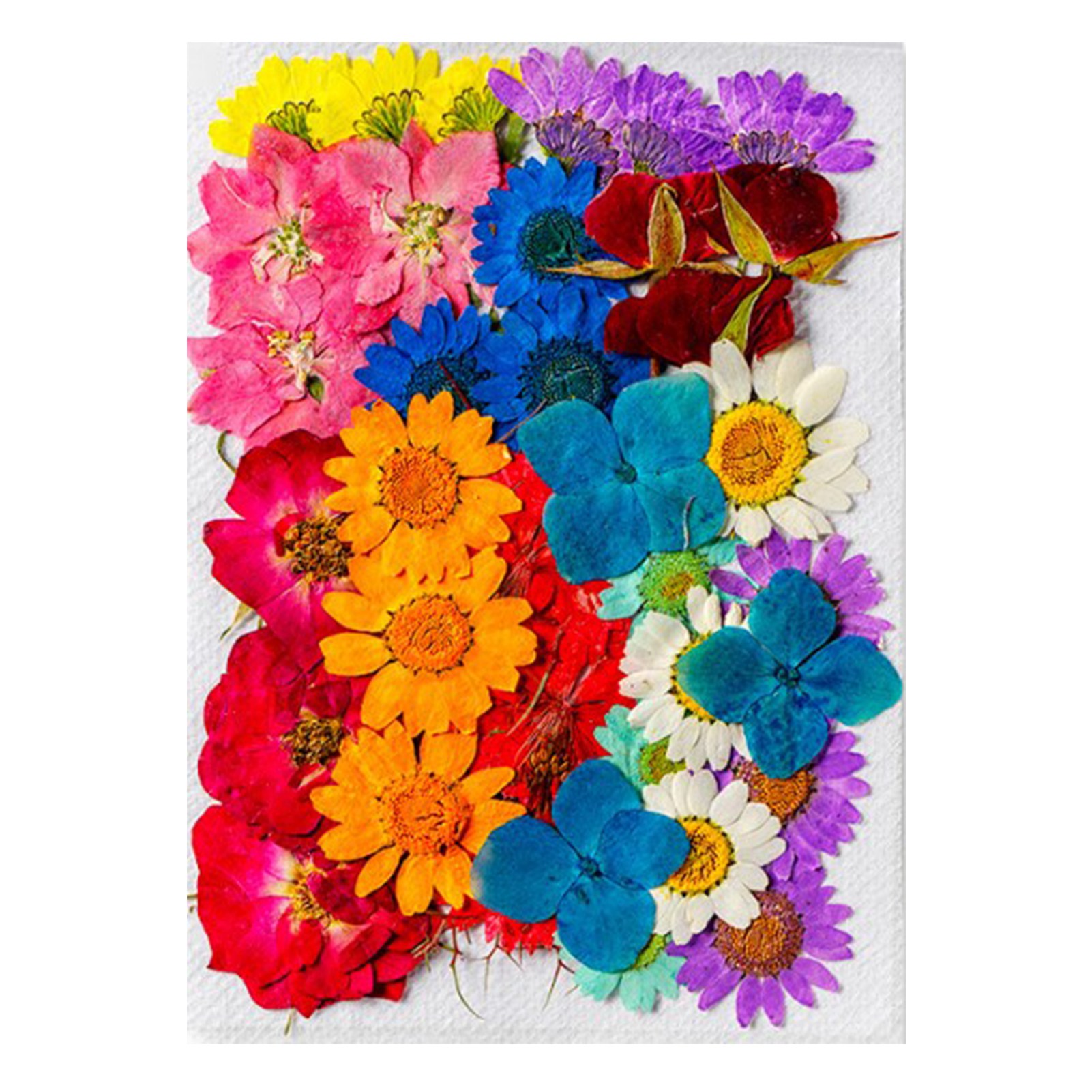 Trockenblumen In Verschiedenen Stilen Und Farben