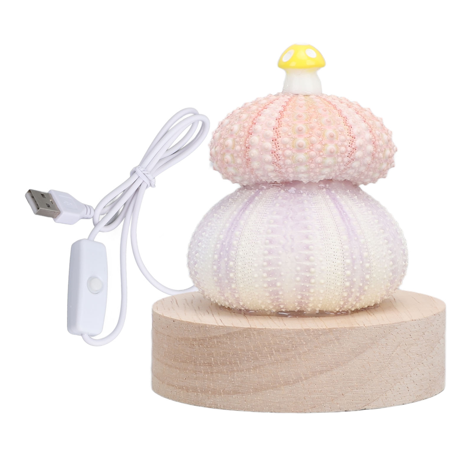 Warmweißes Led-licht, Usb-anschluss, Gehäuse Aus Natürlicher Muschelschale