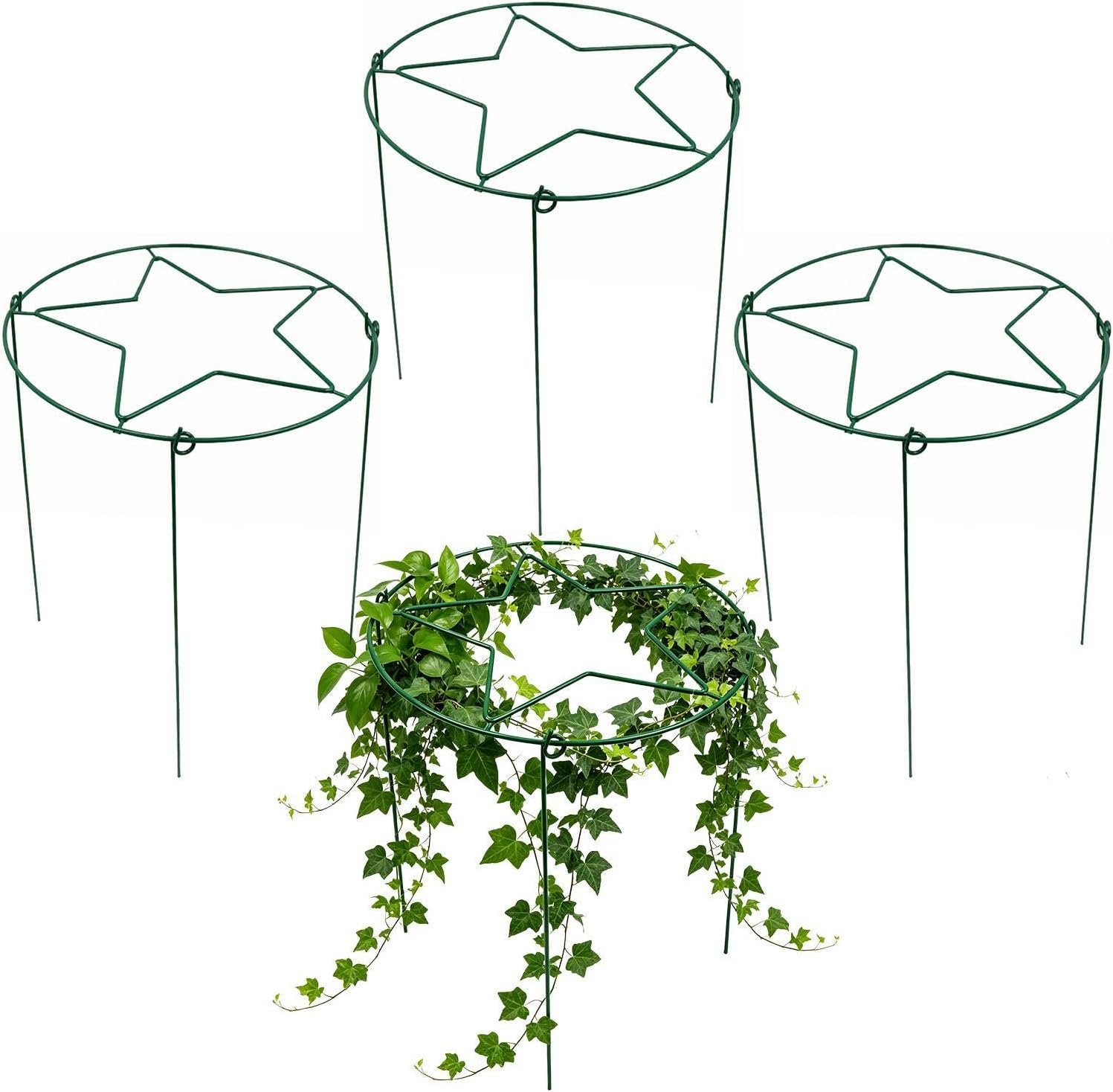 39 9 X 30 5 Cm Großer Eisenstielkäfig Hohe Gartenringe