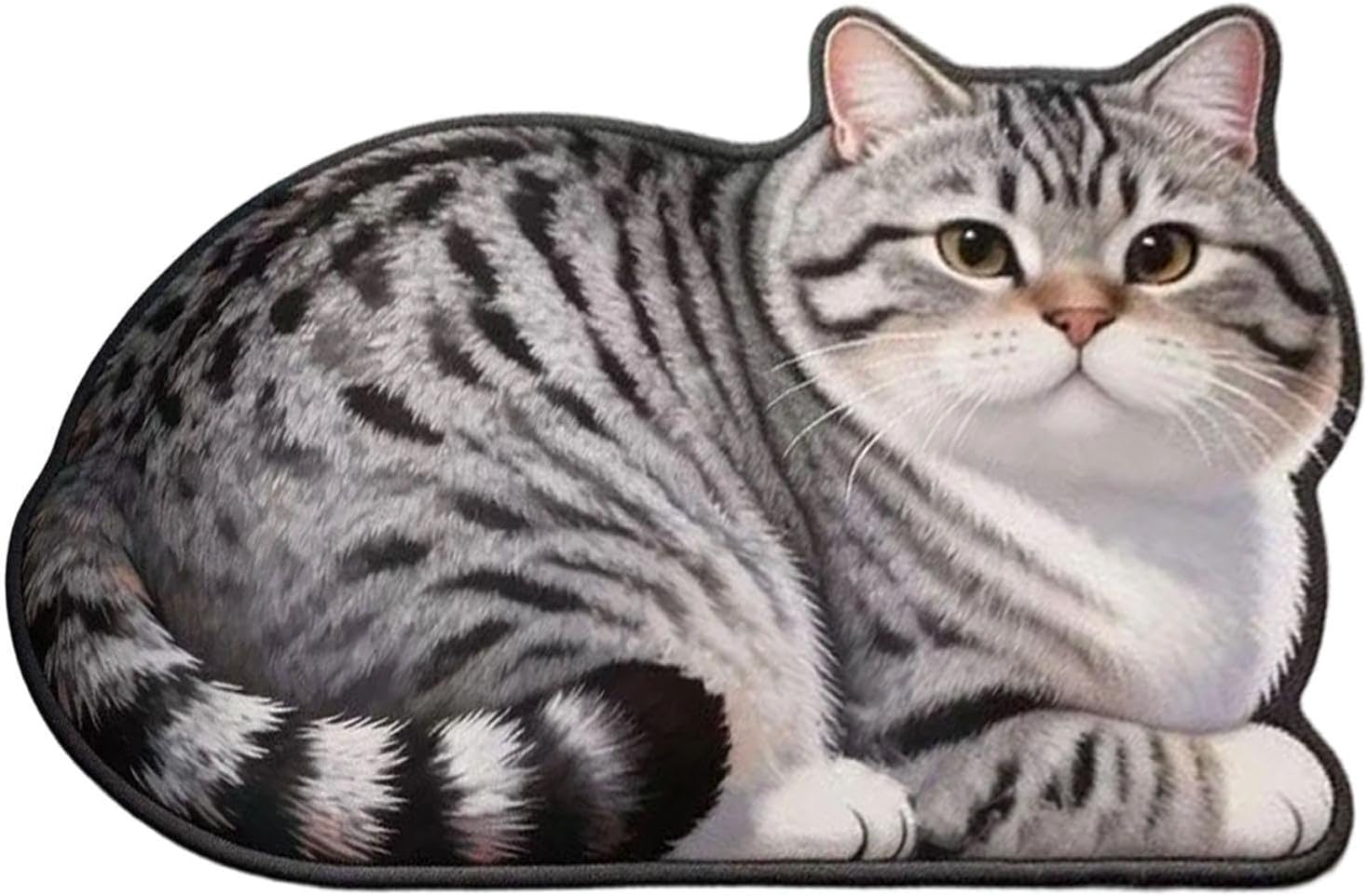 Katzenteppich Waschbarer Schnelltrocknender Teppich