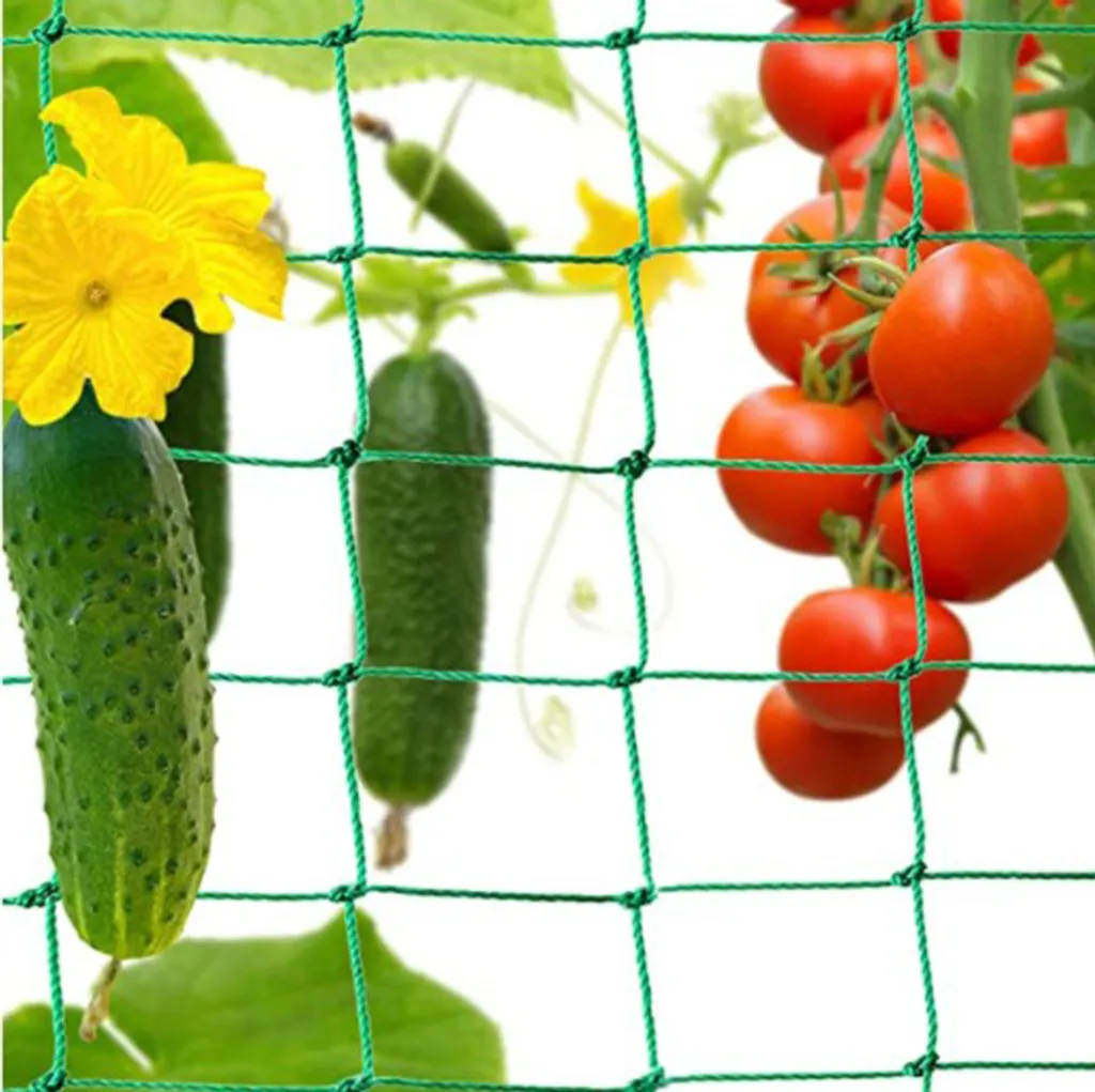 Ranknetz Kletterpflanzen Gartennetz Netz Für Gurken Tomaten Und Anderen Vogelschutznetz Gemüsepflanzen Rankhilfen Netz Für Kletterpflanzen