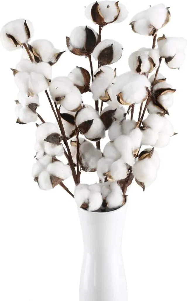 55 Cm 10 Kopf Natürliche Getrocknete Baumwollblumen Künstliche Pflanze Blumenzweige Hochzeit Party Home Vase Blumenarrangement Dekorative Getrocknete Blumen