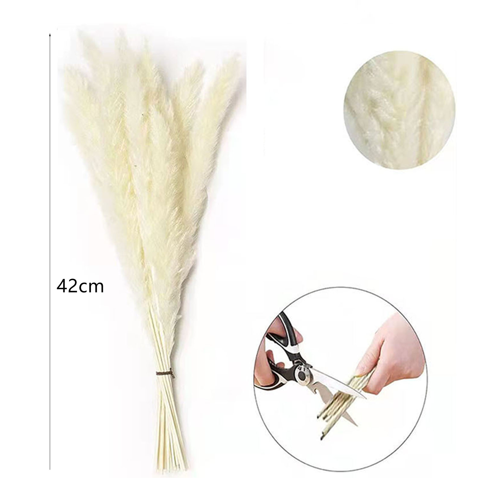 30 Kleine, Getrocknete Weiße Schilfblüten, Ideal Zum Dekorieren Eines Straußes Aus Strohblumen Und Pampasgras. Diy-weihnachtsdekoration.