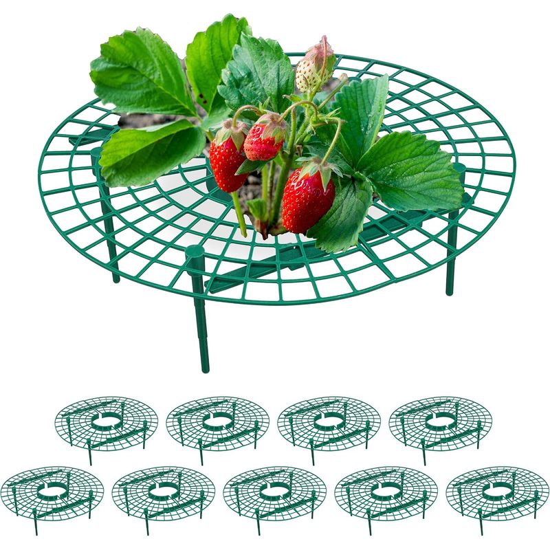 Erdbeerstützen, 10er-pack, Schutz Vor Fäulnis Und Schnecken, Für Erdbeerpflanzen, Kunststoff, Grün