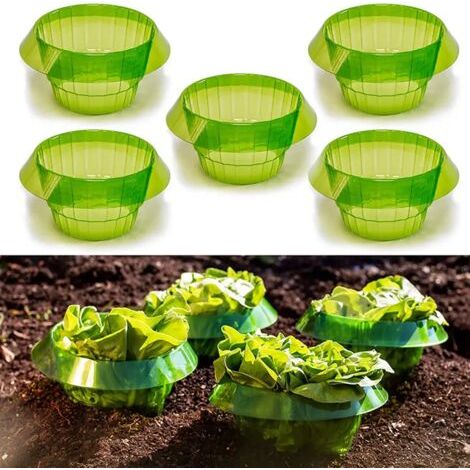 Set Mit 6 Schneckenschutzmanschetten Für Gemüse – Strapazierfähiger Kunststoff – Optimale Luftzirkulation – Maße: 24 X 12,5 X 11,5 Cm