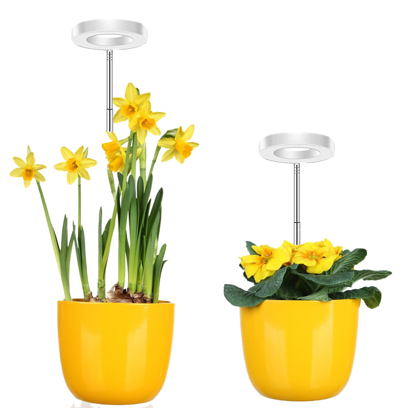 Led Wachstumslampe Mit Vollspektrum Für Zimmerpflanzen – Zweikopf Höhenverstellbar, Lichtring „engel“-typ, Usb-stromversorgung, Rotes/blaues/weißes Licht, Sauberes Weißes Design