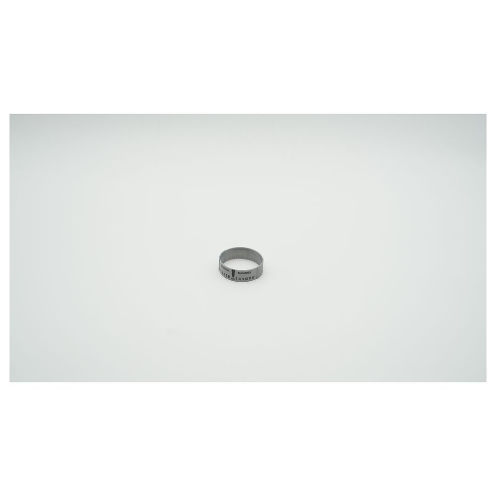 Bwt Datumring Für Bolero Hws/rf Und Cillit Galileo Hws/rsf, Abs Silbermetallic, 1-151886