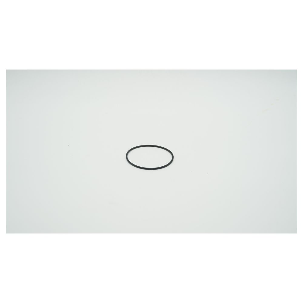 Bwt O-ring Für Aktivkohlefilter Dn 20, 1-902736