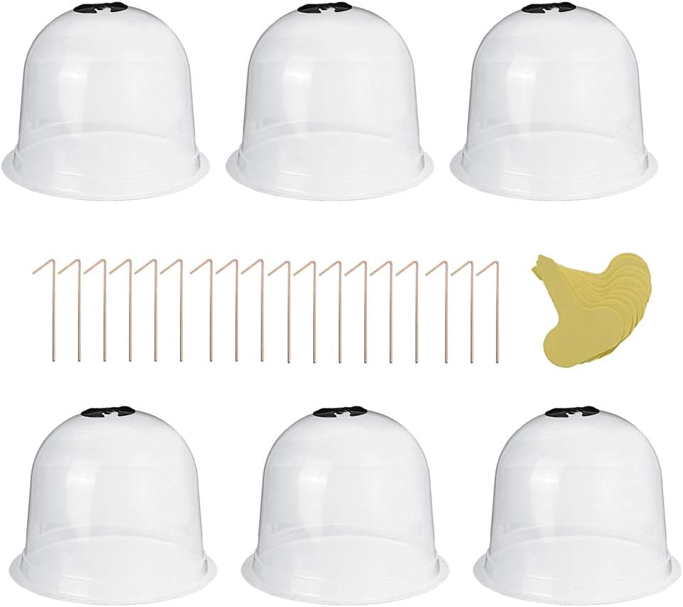 Set Mit 6 Wiederverwendbaren, Kuppelförmigen Schutzglocken Aus Kunststoff Für Kalte/warme Gartenerde Und Kulturpflanzen, Transparent