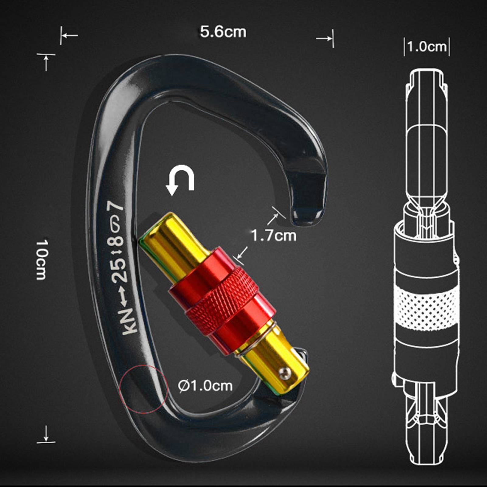 Karabiner Aus Aluminiumlegierung Mit D-ring Und D-verschluss, Geeignet Zum Klettern Und Bergsteigen, Schwarz.