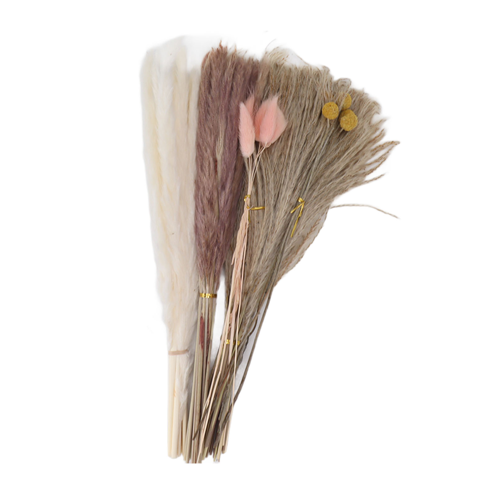 Strauß Aus 70 Trockenblumen: Pampasgras, Schilf, Rosa Hasenschwänze Und Gelbe Schmetterlinge. Trockenblumendekoration
