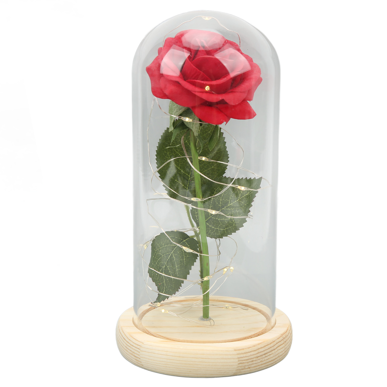 Rosen Unter Glas, Symbole Für Glück, Schönheit Und Romantik, Werden Von Leds Beleuchtet Und Sind Somit Ein Ideales Romantisches Geschenk Zum Valentinstag. (grüne Blätter Und Rote Blüten)