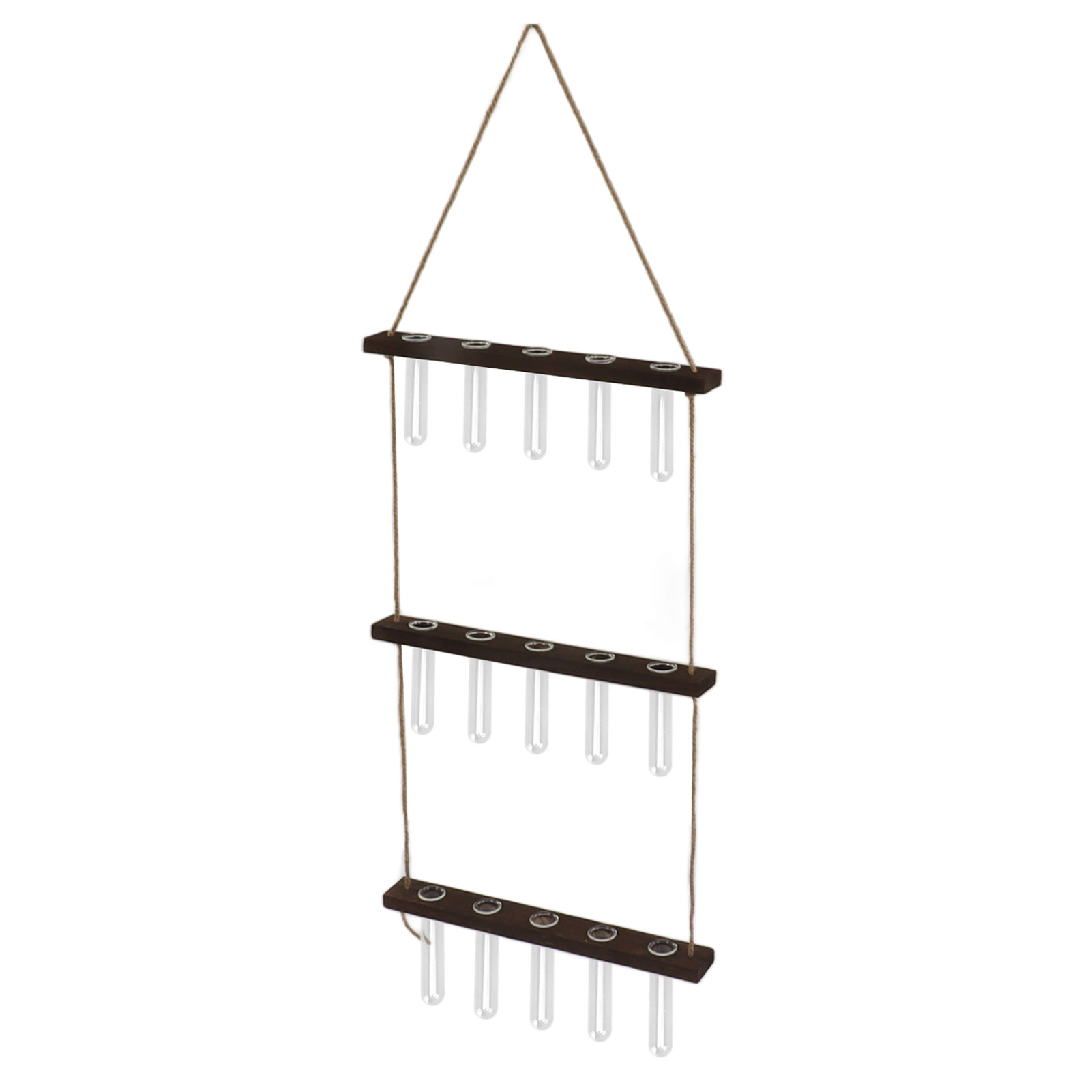 Dreistufiges, Wandmontiertes Terrarium Mit 15 Reagenzgläsern Und Aufhängevorrichtung Zur Beobachtung Des Pflanzenwachstums Und Zur Keimung Von Pflanzen. Im Retro-stil.