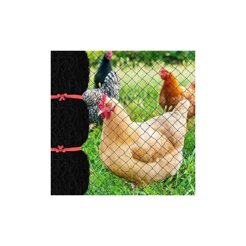 Vogelschutznetz (7,6 X 15,2 M, Maschenweite 2,5 Cm), Wiederverwendbares Gartennetz Für Hühnerställe, Nylon-geflügelnetz Für Wildzäune Zum Schutz Von Obstbäumen