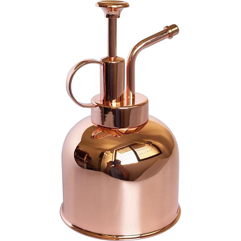 Sprühflasche Aus Edelstahl (roségold, 300 Ml) – Kleine Gießkanne – Modernes Gartengerät Für Topfpflanzen – Zum Gießen Und Besprühen