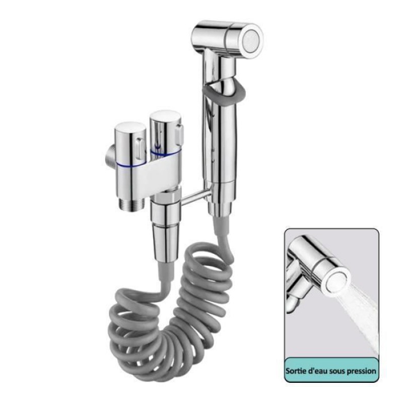 Leistungsstarkes Jet-bidet-set Für Wc Und Badezimmer, Edelstahl 304, Ein Zulauf Und Zwei Auslässe, Silberfarben