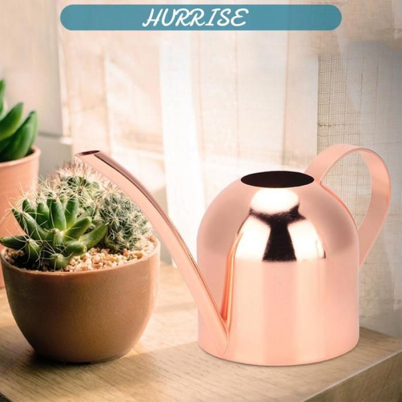 Sonew 500-ml-gießkanne Aus Edelstahl, Gießkanne Mit Langem Ausguss Für Zierpflanzen, Gold/roségold-packung