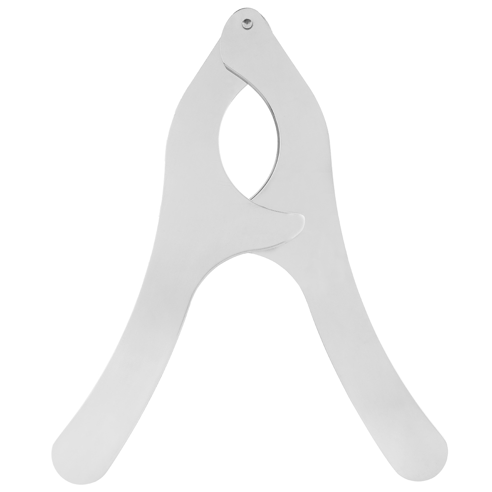 Seeigelmesser Aus Edelstahl, Multifunktionales Meeresfrüchtewerkzeug, Seeigelschalenschneider, Gebogene Schere