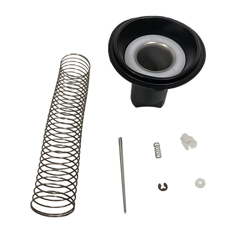 Convient Aux Teers Von L'Gesamtheit Piston Von Carburateur Bis Membrane Einige Bajaj Pulsar Ns200 As200