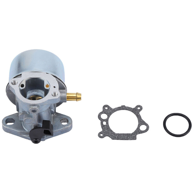 Gistuch Carburateur Pour 497586 498170 799868 498254 497314