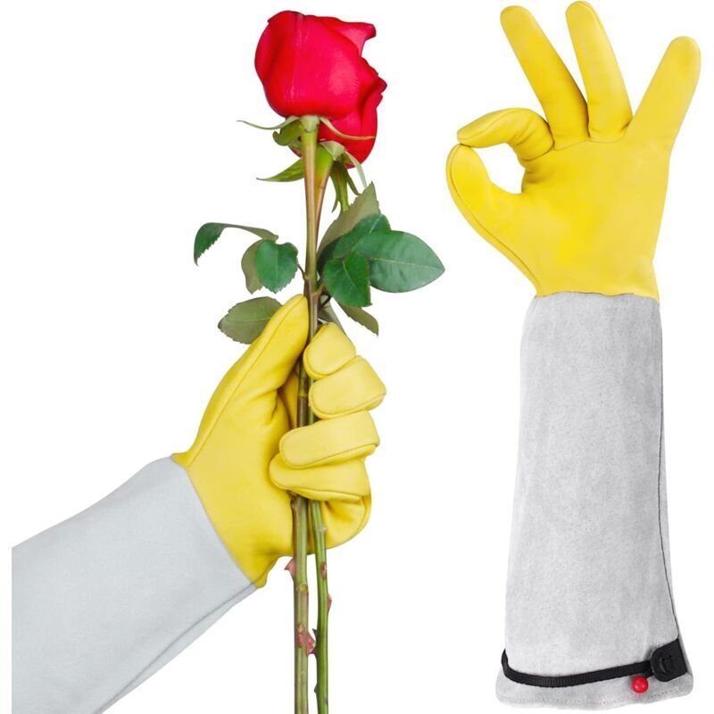 Langärmlige Gartenhandschuhe Aus Rindsleder – Dornenschutz – Verstellbare Bündchen – Atmungsaktiver Komfort Beim Heckenschneiden