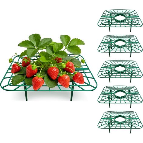 Stück – Erdbeerstützen – Quadratische Pflanzenstäbe – Schutz Der Früchte Vor Erde Und Schädlingen – Für Blumentöpfe Und Pflanzgefäße – Grün – 25 X 20 X 9,5 Cm