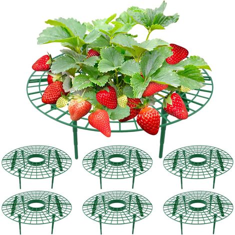 – Erdbeerstütze – Gartenzubehör – Schutz Vor Fäulnis Und Schimmel – Für Erdbeeren, Tomaten, Paprika – Grün – 30 X 30 X 10 Cm