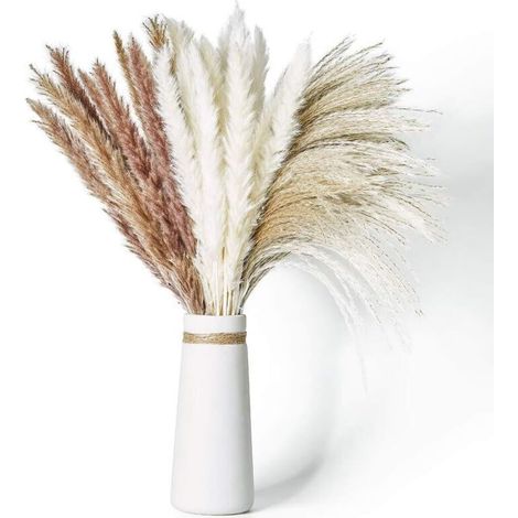 Natürliches, Getrocknetes Pampasgras, 60 Stück À 65 Cm, 3 Verschiedene Farben, Flauschig Und Kaskadenartig, Ideal Für Florale Arrangements Im Bohème-stil, Hochzeiten Und Innendekoration.