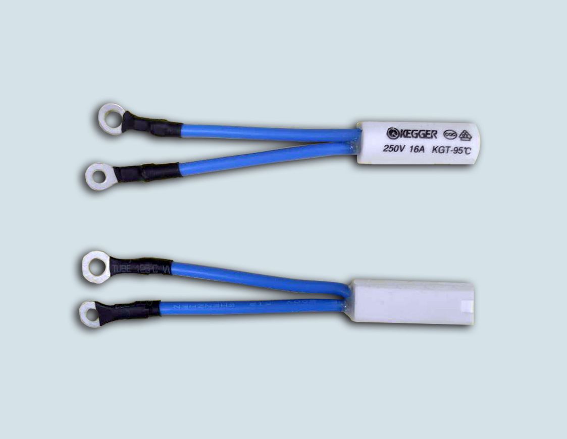 Digitaler Temperaturregler, Digitaler Thermoschutz, Digitaler Temperaturreglerschalter