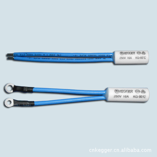 Elektrisches Heizelement Für Schongarer, Heizband, Überhitzungsschutz Für Das Heizelement (mit Abbildung)