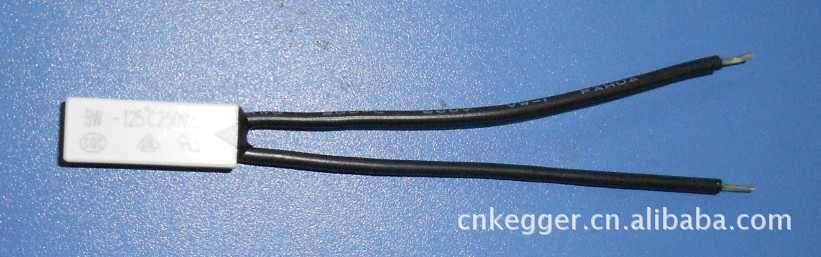 Kleiner Abs-temperaturregler Mit Thermischem Schutz (abbildung)