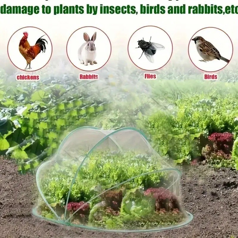 Lieferung Von Insektennetzen Für Pflanzen, Gewächshäuser, Obstbäume, Vögel, Gärten Und Pflanzenschutz.