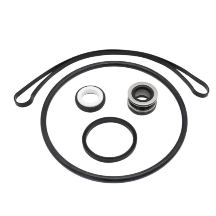 Sp3000x O-ring-reparatursatz Für Hayward Super Iispx1600z2 Ps-201 Wellendichtung