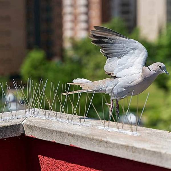 12 Farben: Silber + Transparent Material: Kunststoff + Edelstahl 12 Stück Vogelschutzgitter/vogelspitzen.