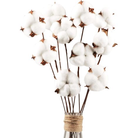 10er-packung Natürliche, Getrocknete Baumwollblüten, Trockenblumen, Baumwollstängel, Naturblumen, Künstliche Baumwollzweige, Künstliche Pflanzen, Dekoration Für Balkon, Wohnung, Tisch, Blumenarrangeme