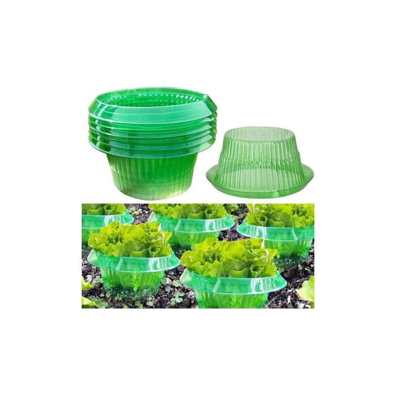 6 Schnecken- Und Nacktschnecken-repeller-halsbänder – Natürlicher Pflanzenschutz, Chemikalienfrei, Ideal Für Gemüsegärten Und Hinterhöfe (6er-set)