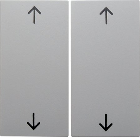 Bedieneinheit Berker Arrow Symbol Doppelter Schalter Glänzend