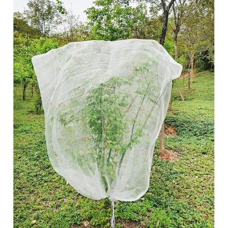 Bunthaus Vogelschutz- Und Insektenschutznetz, Obstbaumnetz 1,8 M X 1,8 M, Insektenschutznetz Für Pflanzen, Insektenschutznetz Feinmaschig Mit Kordelzug, Vogelschutznetze Zum Schutz Von Obstbäumen, Bau