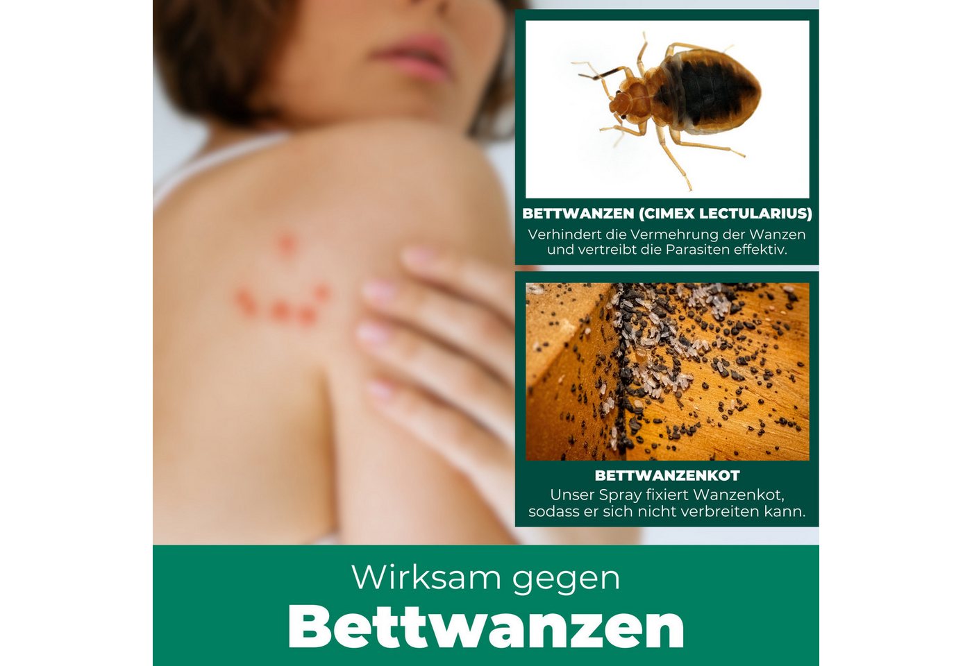 Silberkraft Insektenspray Silberkraft Bettwanzenspray, hält Textilien frei von Bettwanzen, 500 ml, 4-St., Sofortige & langanhaltende Wirkung gegen Bettwanzen, ohne Permethrin Bild 2