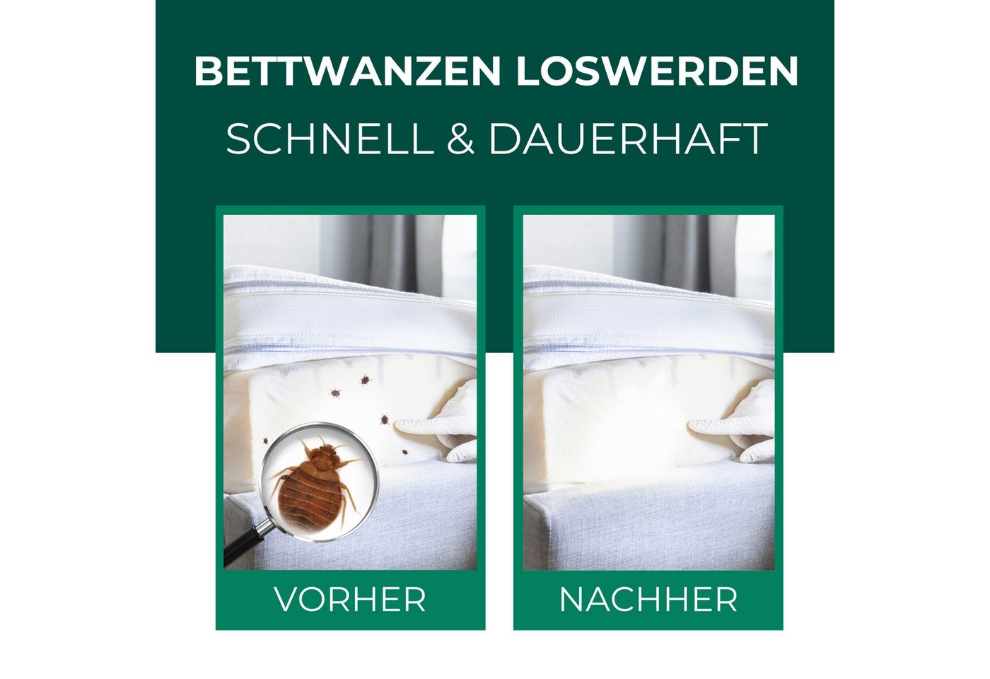Silberkraft Insektenspray Silberkraft Bettwanzenspray, hält Textilien frei von Bettwanzen, 500 ml, 4-St., Sofortige & langanhaltende Wirkung gegen Bettwanzen, ohne Permethrin Bild 5
