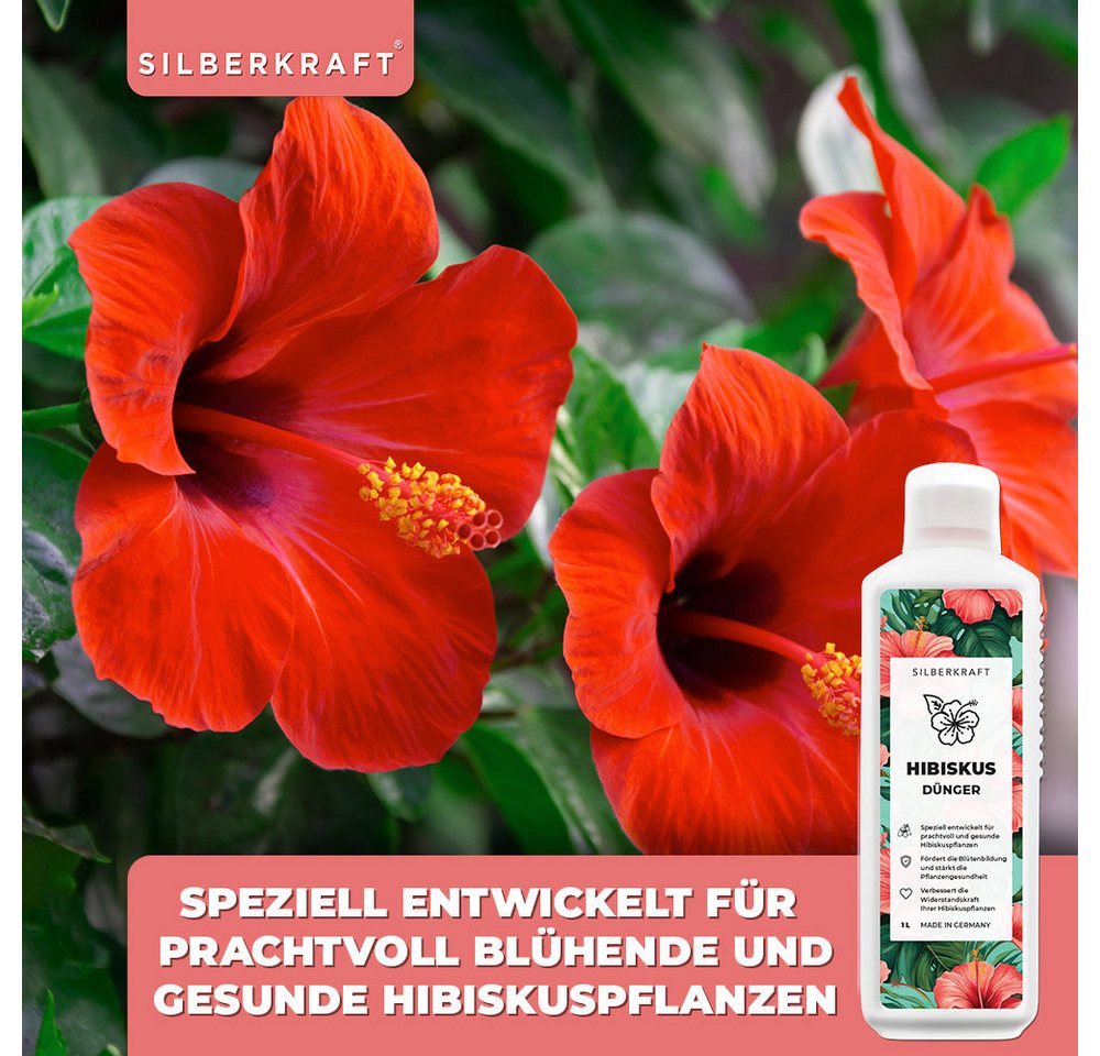 Silberkraft Pflanzenstärkungsmittel Hibiskus Dünger - Mineralischer NPK Flüssigdünger mit Stickstoff, 1 L, Spezialdünger für Hibiskus & Roseneibisch, Für Wachstum, leuchtende Blüten & gesunde Pflanzenentwicklung Bild 4