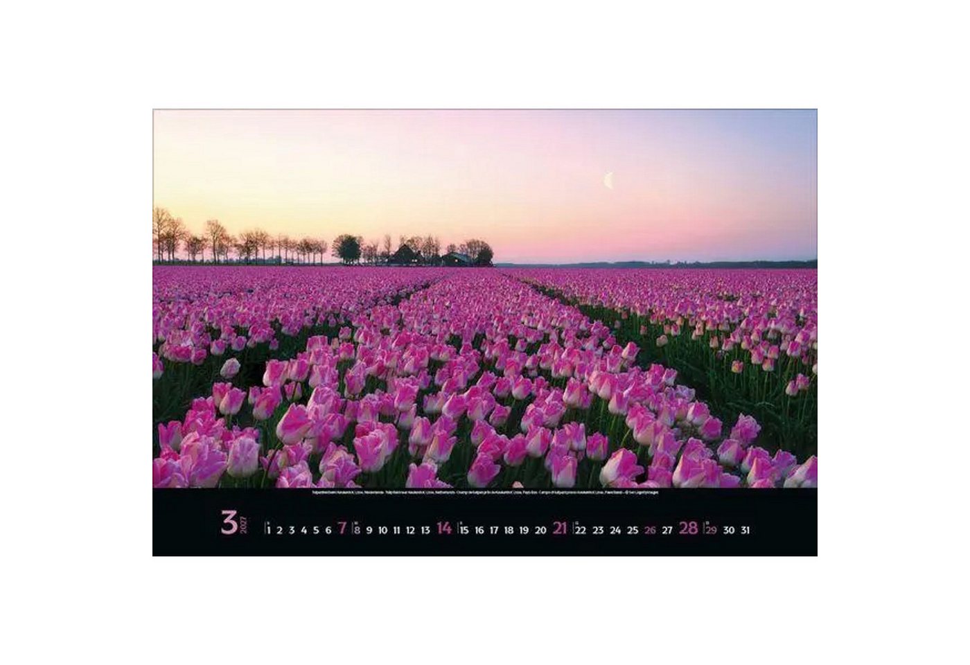 Korsch Verlag Wandkalender Colourful Seasons 2027 Bild 5