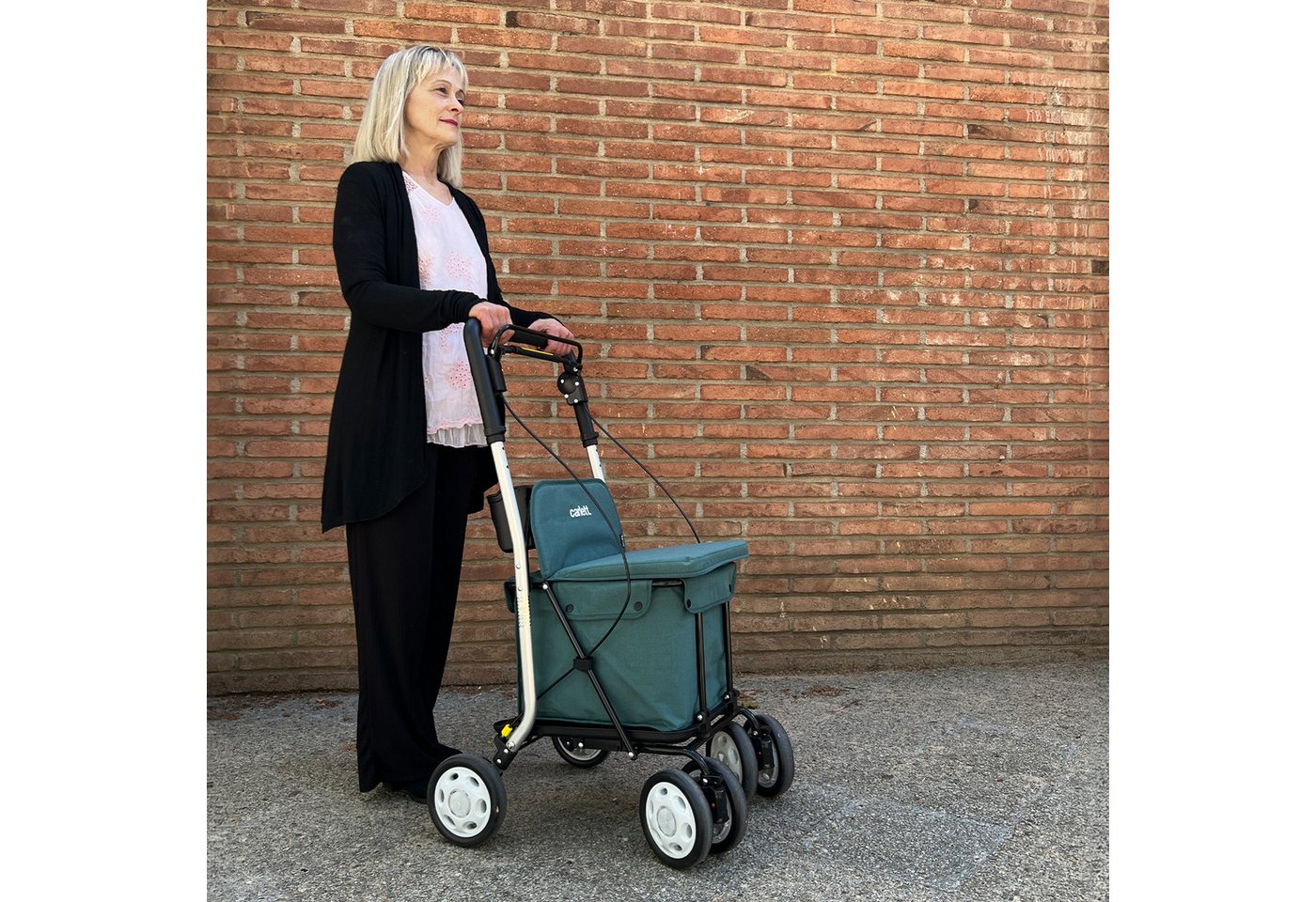 Carlett Einkaufstrolley Einkaufswagen Shopping Trolley Rollatoren für Senioren, Maximale Sitzbelastung 125 kg, 30L, Wasserdichte Tasche aus Polyester Bild 4