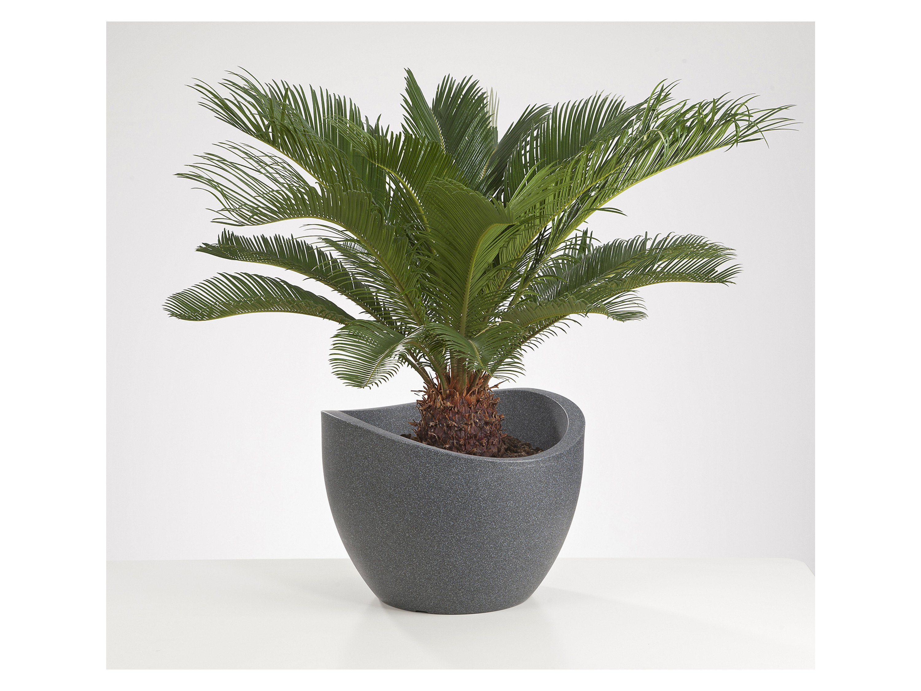 SCHEURICH Pflanzgefäß Wave Globe (Schwarz Granit, Ø 40 cm, Höhe 30 cm)