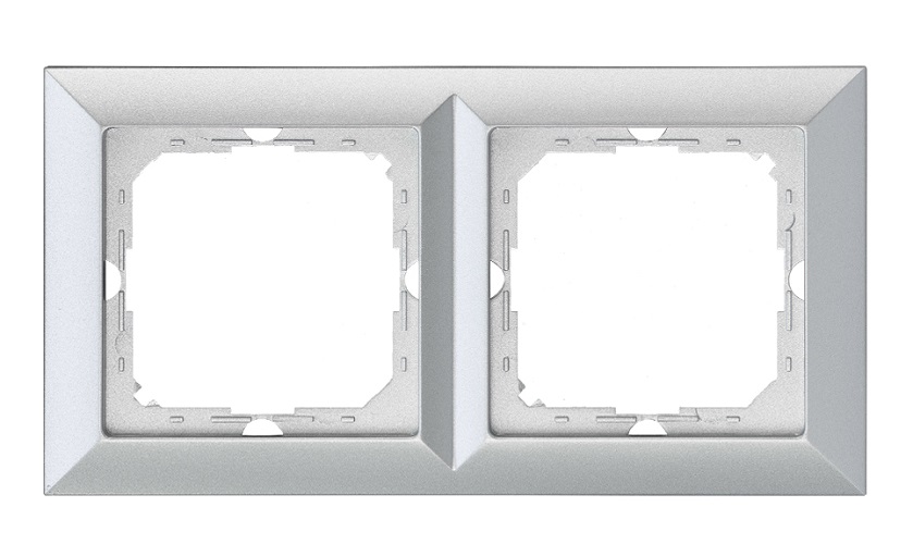 Doppelrahmen Aus Perlmutt, Silber - E+9000298