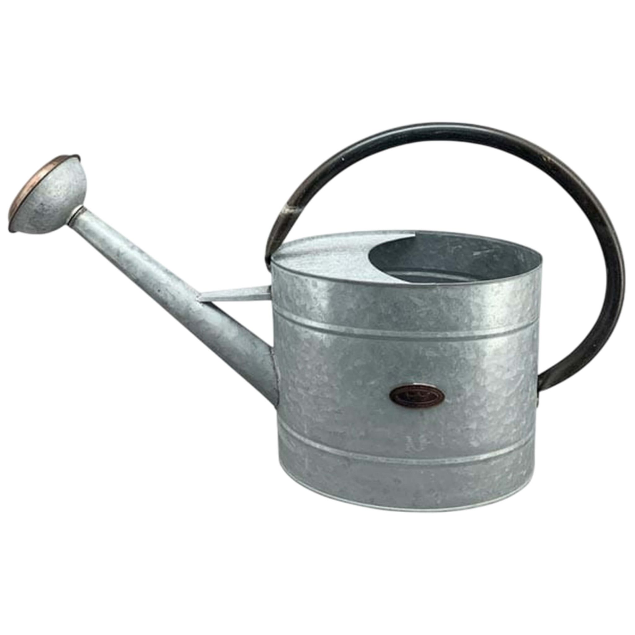 Kleine Gießkanne Aus Metall, Klassische Haushaltsgießkanne, Silber