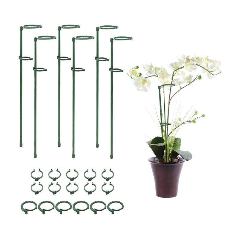 6-teiliges Set Pflanzenkäfig-stützringe Mit Befestigungsschnalle Für Pflanzen, Blumen, Orchideen, Pfingstrosen, Rosen, Pflanzenstütze, Gartenstütze, Pflanzenstecker, Einzelstiel-blumenstütze – 18 Zoll