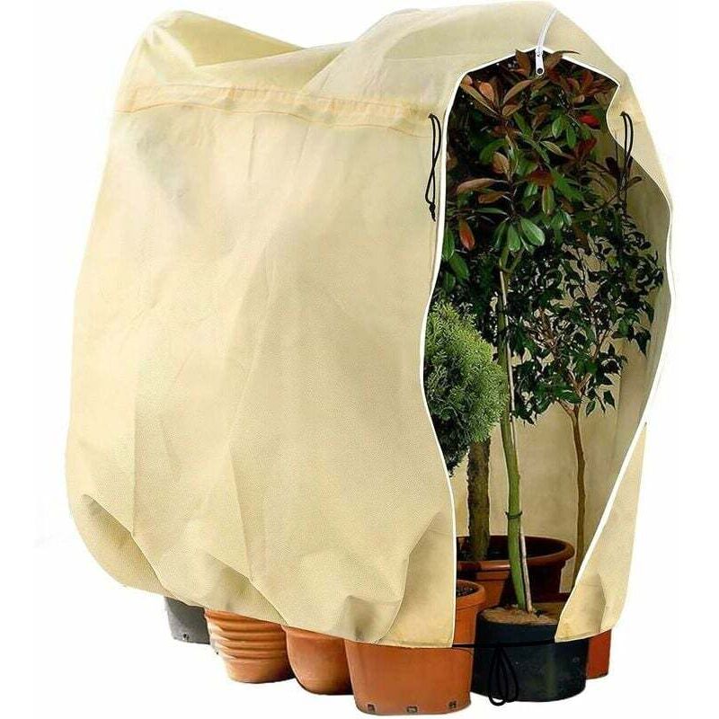 Winterschutz Für Pflanzen Im Freien