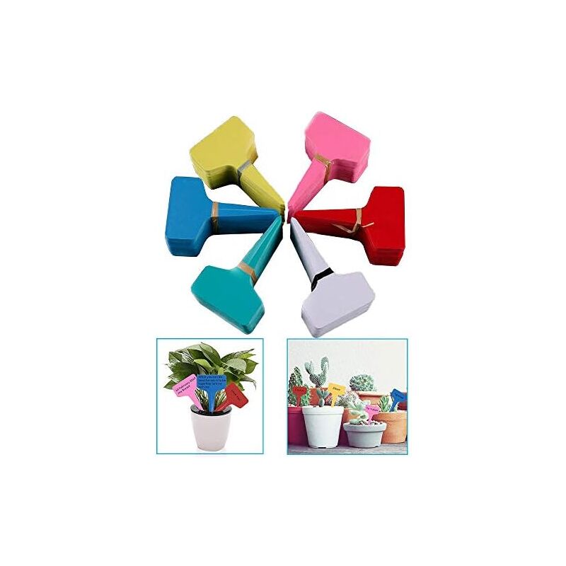 6 Cm X 10 Cm (120 Stück) Pflanzenmarker & Etiketten, Käseetiketten, Gartenschilder, Gemüsegarten-etiketten, Sämling-etiketten, Kleines Gartenzubehör, Mini-beschriftungsschilder
