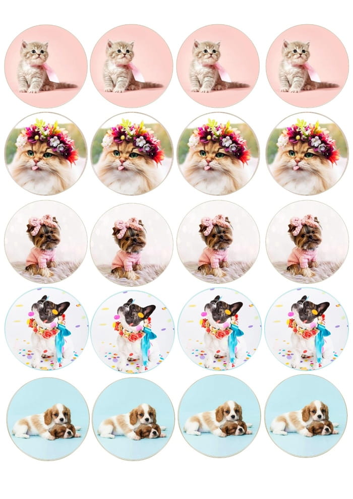 Waffeln Für Muffins, Kekse, Katzen, Hunde Und Andere Tiere / 20 Stück
